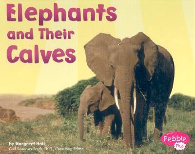 Elephants and their calves