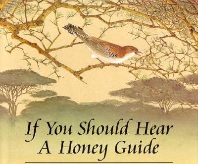 If you should hear a honey guide