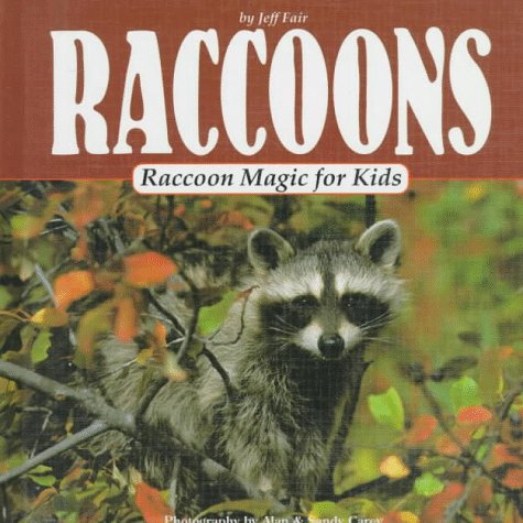 Raccoon magic for kids