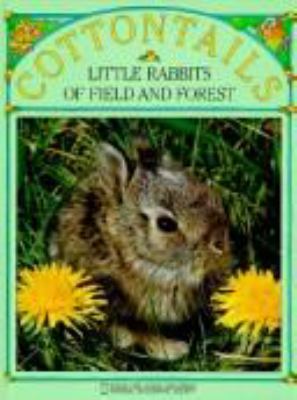 Cottontails : Little rabbits of field and forest