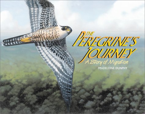 The peregrine's journey : a story of migration