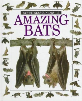 Amazing bats