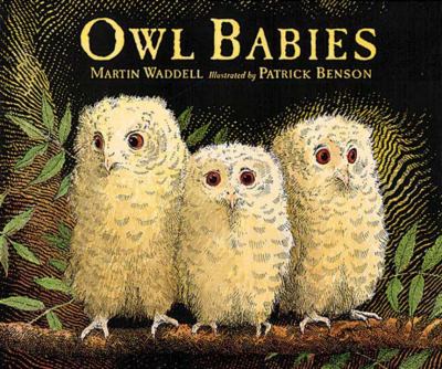 Owl babies