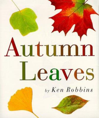 Autumn leaves