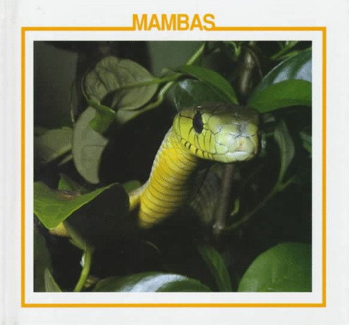 Mambas