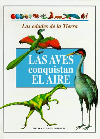 Las aves conquistan el aire