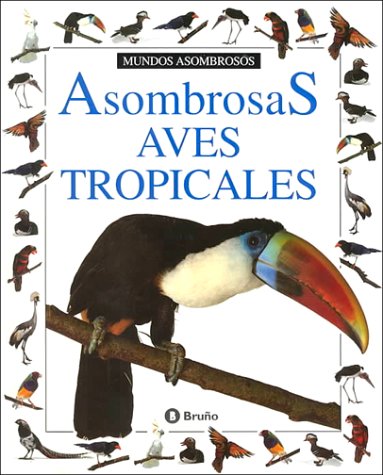 Asombrosas aves tropicales