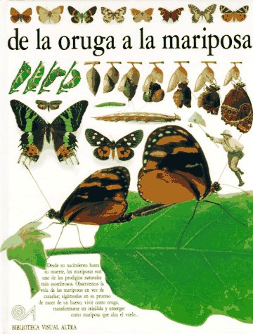 Butterfly & moth : Spanish language edition