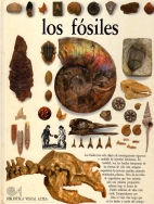 Los fosiles