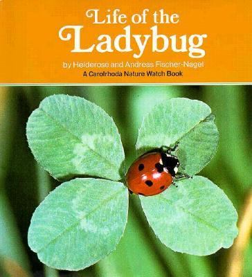 Life of the ladybug