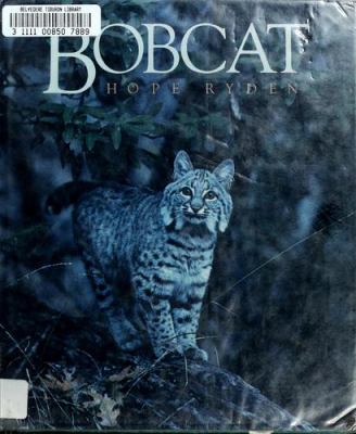 Bobcat