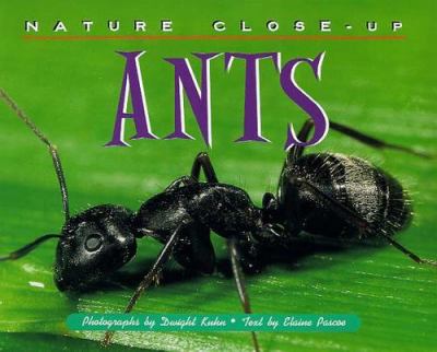 Ants