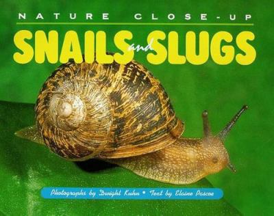 Snails and slugs