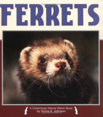 Ferrets