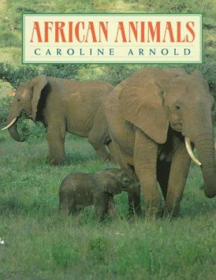 African animals.