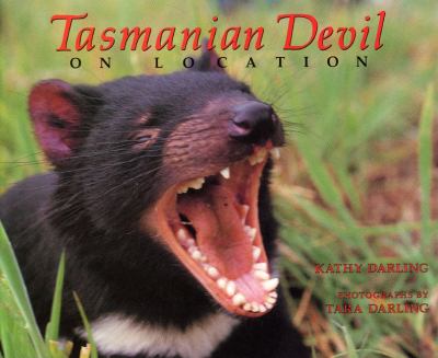 Tasmanian devil on location