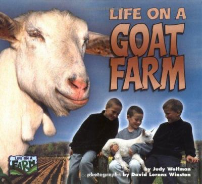 Life on a goat farm