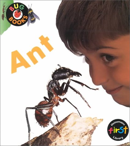 Ant