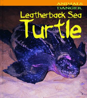 Leatherback sea turtle