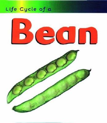 Life cycle of a bean