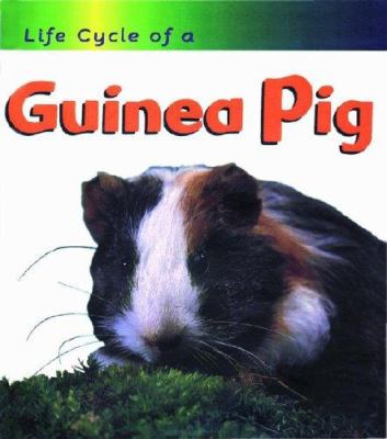 Life cycle of a guinea pig