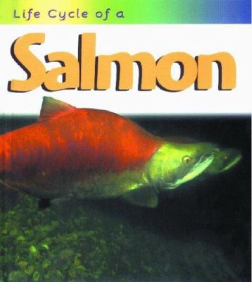 Life cycle of a salmon