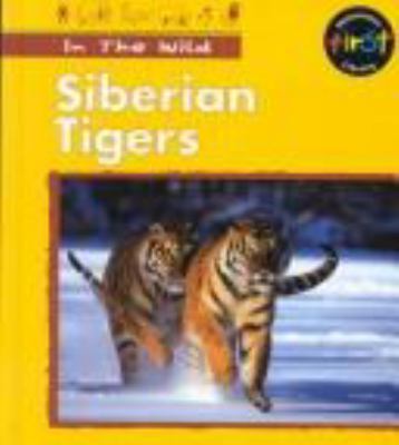 Siberian tigers