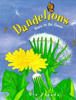 Dandelions : stars in the grass