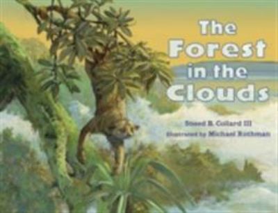 The forest in the clouds