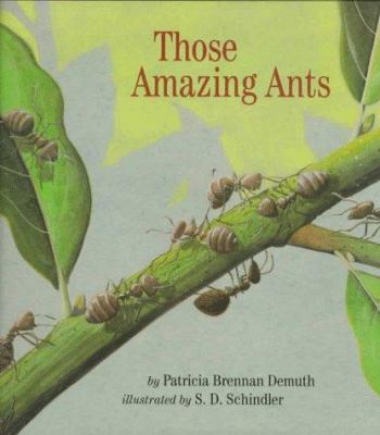 Those amazing ants