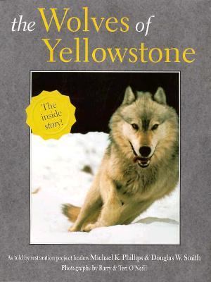 The wolves of Yellowstone