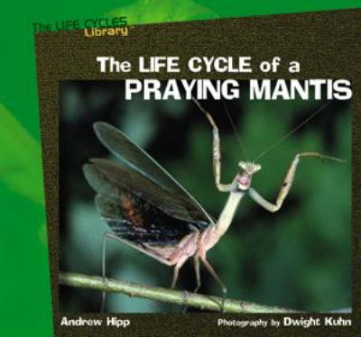 The life cycle of a praying mantis