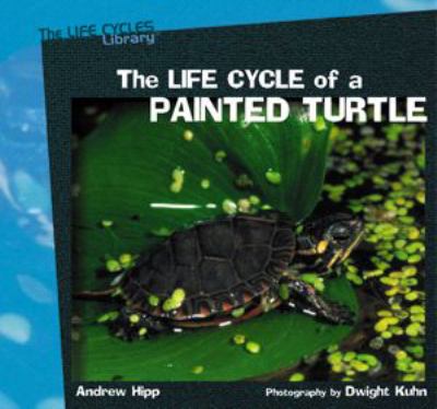 The life cycle of a painted turtle