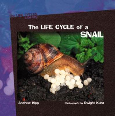 The life cycle of a snail