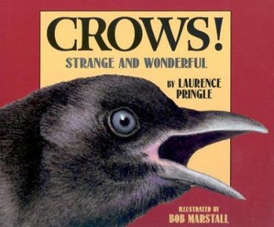 Crows! : strange and wonderful