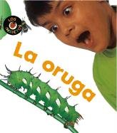 La oruga