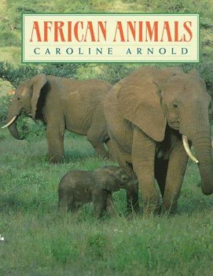 African animals