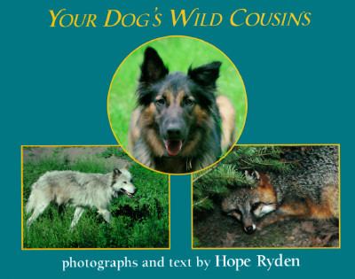 Your dog's wild cousins