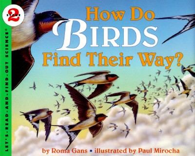 How do birds find their way?