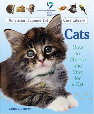 Cats : How to choose and care for a cat