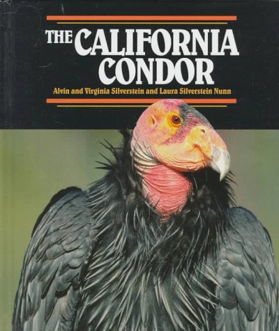 The California condor