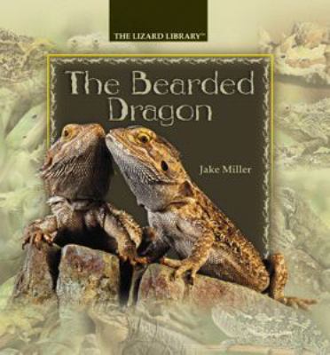 The bearded dragon