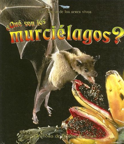 Que son los murcielagos?