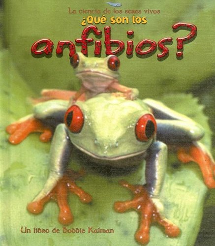 Qué son los anfibios?