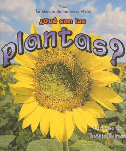 Que son las plantas?