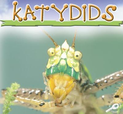 Katydids