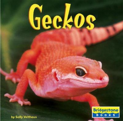 Geckos