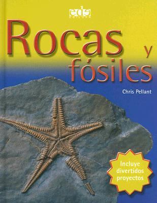 Rocas y fosiles