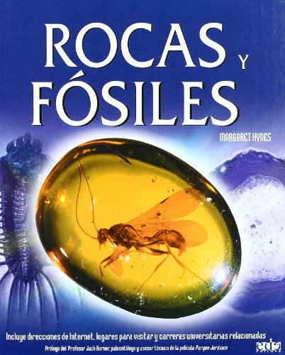 Rocas y fósiles