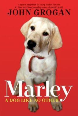 Marley : a dog like no other